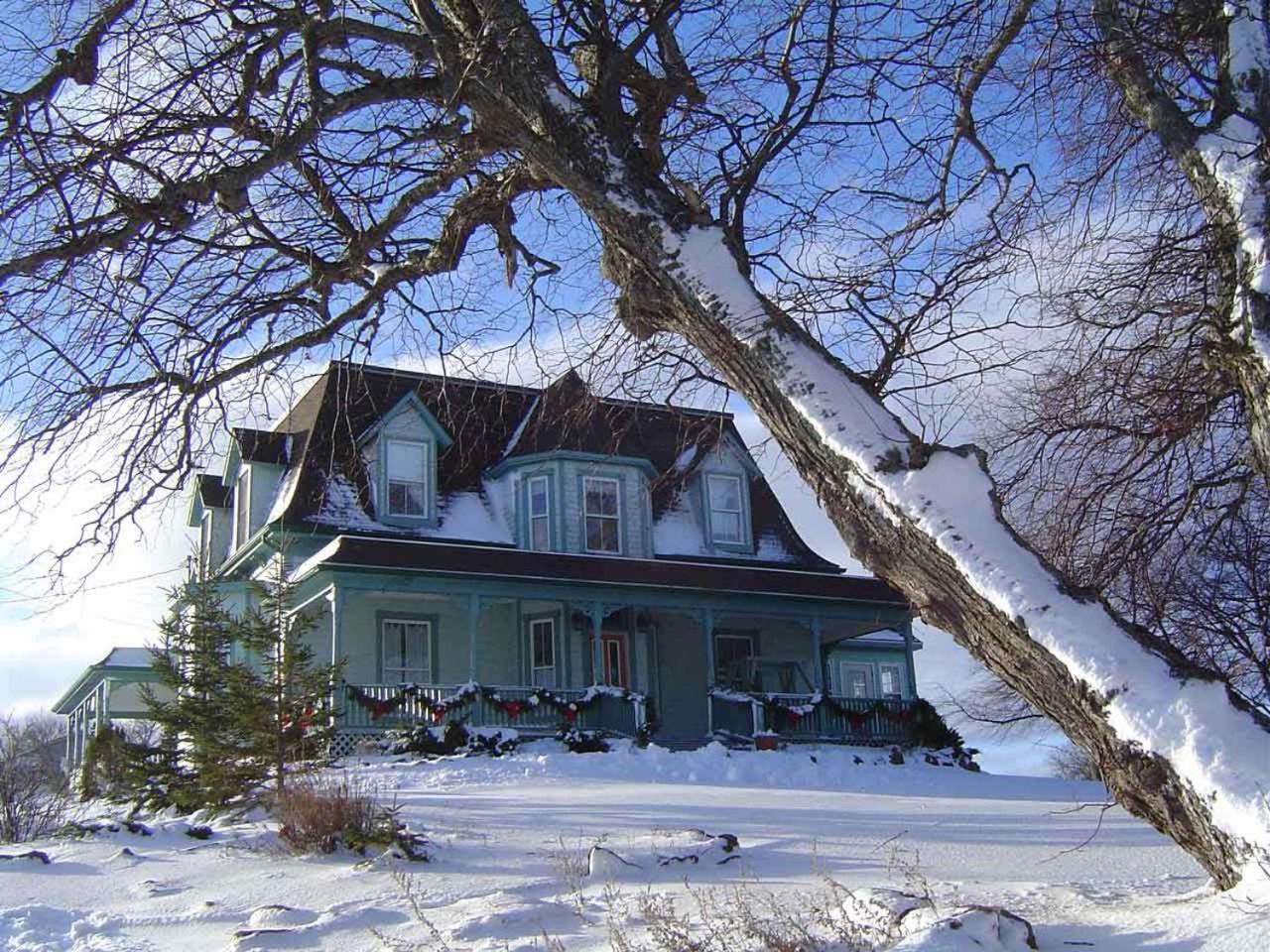 Points East Coastal Inn Saint Peters Bay Exterior foto